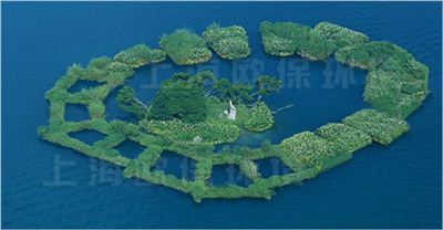 氧化塘增容净化装置