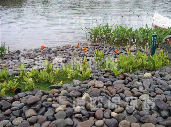 人工湖治理,景观湖治理