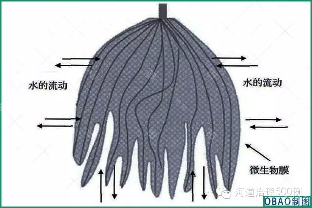 生态草结构示意图 生态草结构示意图