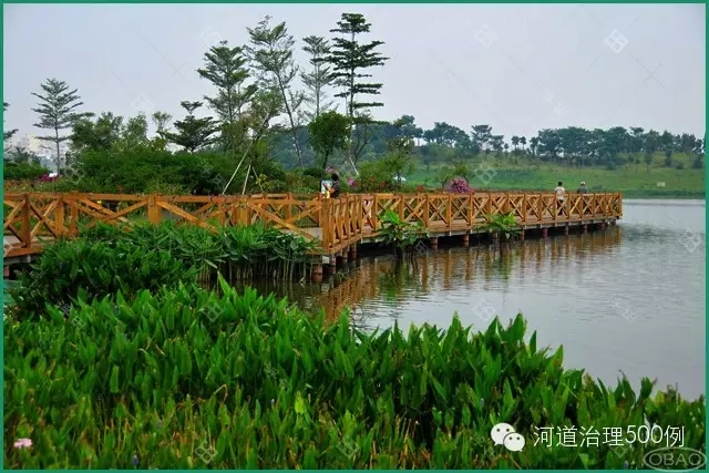 广州白云湖生态治理工程 广州白云湖生态治理工程