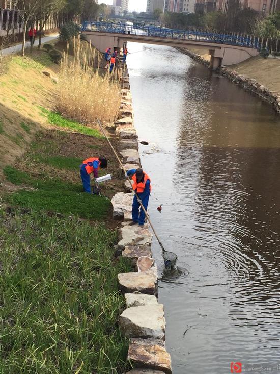 沪今年将完成150公里河道整治 2000公里河道轮疏
