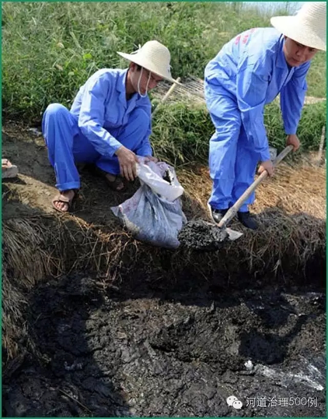 蓝藻变身&ldquo;有机肥&rdquo;