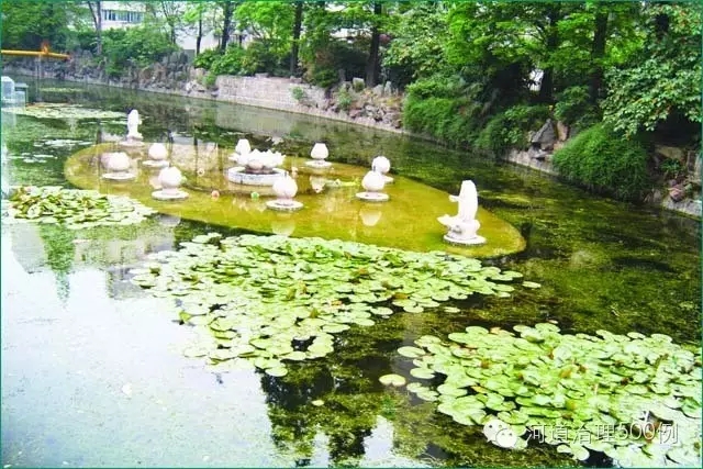 【国内案例】国内水体生态修复的先例&mdash;上海市曹杨环浜污染治理示范工程