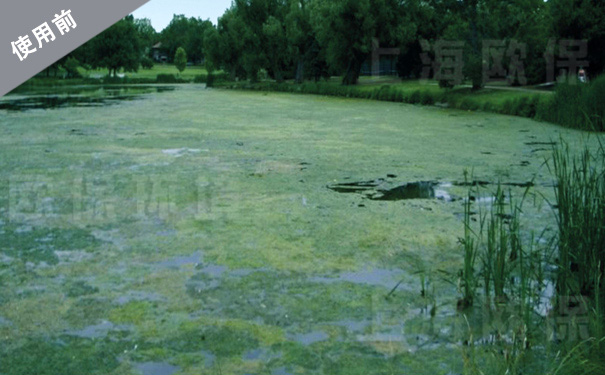 太阳能曝气装置在河道治理中的应用
