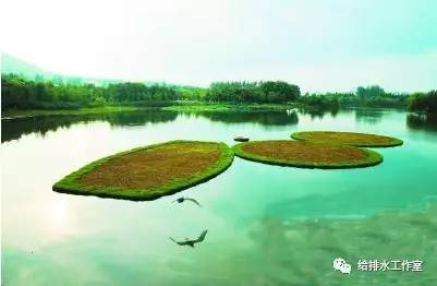 河道景观等黑臭水体生态修复技术及评价浮田型漂浮湿地 河道景观等黑臭水体生态修复技术及评价浮田型漂浮湿地