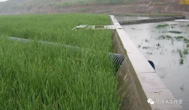 河道景观等黑臭水体生态修复技术及评价 河道景观等黑臭水体生态修复技术及评价