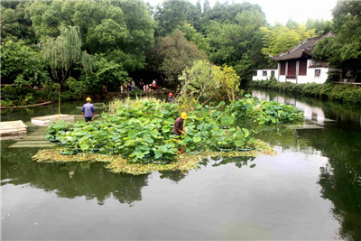 盐城大丰建成167条农村生态河道