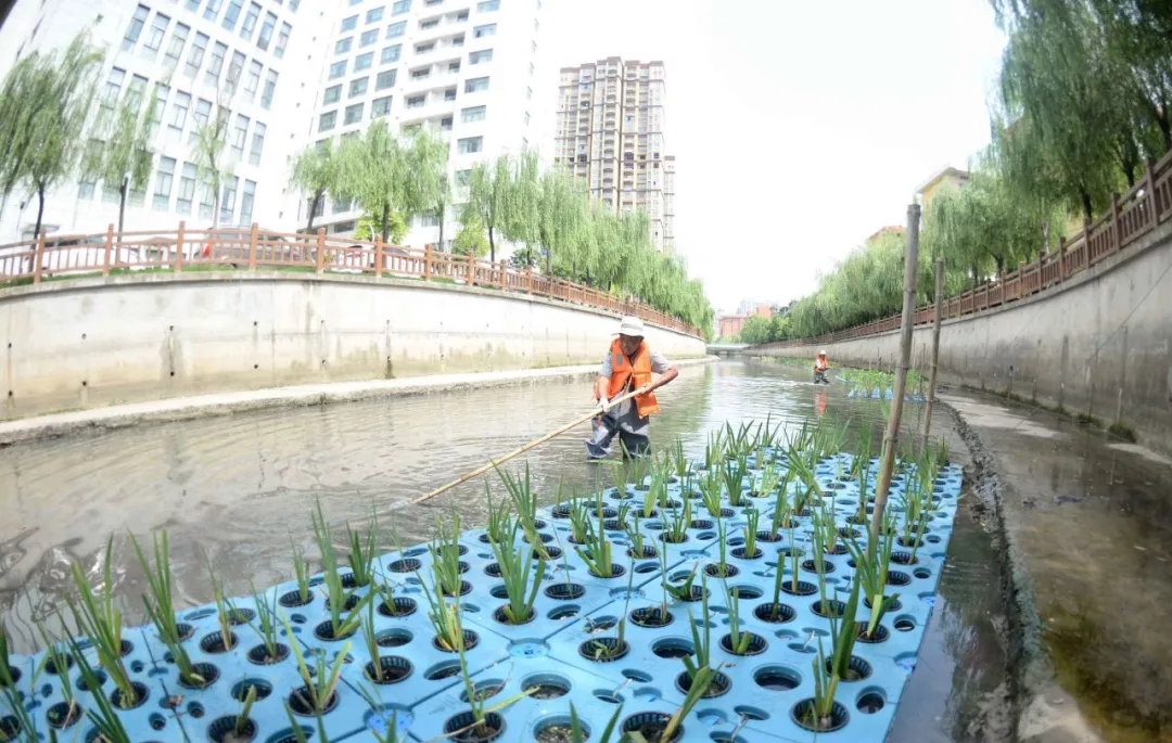 持续深入整治河道水环境,欧保人工浮岛起作用 持续深入整治河道水环境,欧保人工浮岛起作用