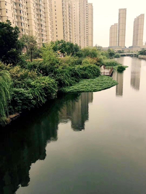 治理河道污水！北京通州台湖镇有大动作