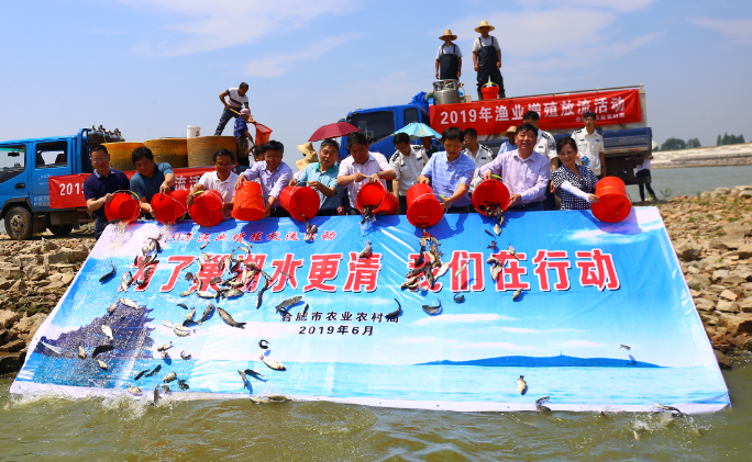 400万尾鲢鱼放入巢湖&ldquo;吃&rdquo;蓝藻，治藻的对策应该是除藻抑藻