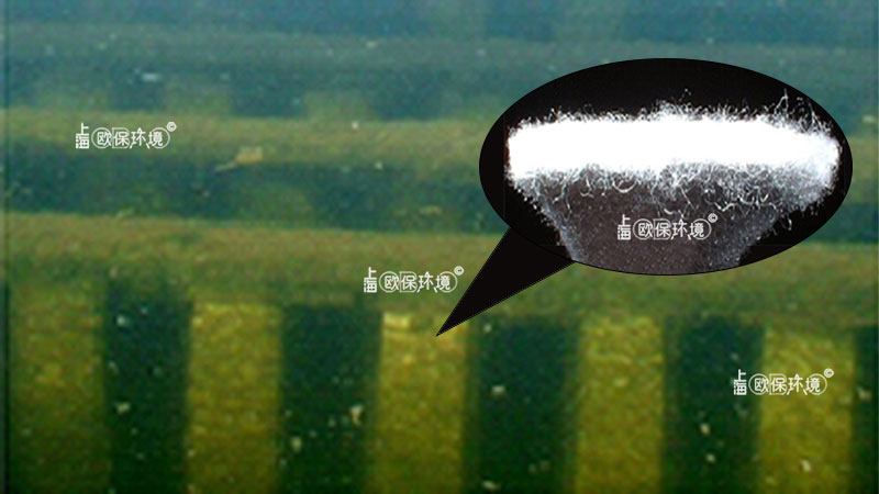 潜水生态净化墙