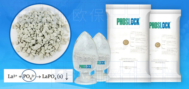 Phoslock&reg;锁磷剂，全球案例超过300个，使用后总磷可降至0.01mg/L，达到地表I标准，该锁磷剂符合北美及欧洲饮用水源地NSF\ANSI60标准。