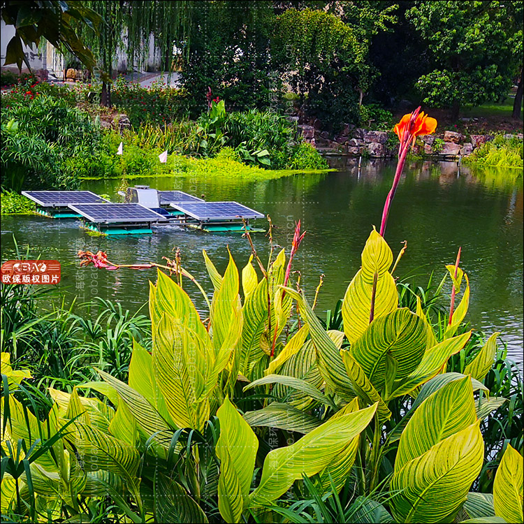 渔业尾水治理—欧保加强型三池两坝净水新工艺