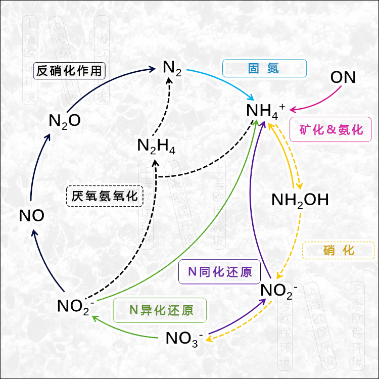 再生滤坝（ZIPBIO）：脱氮除磷