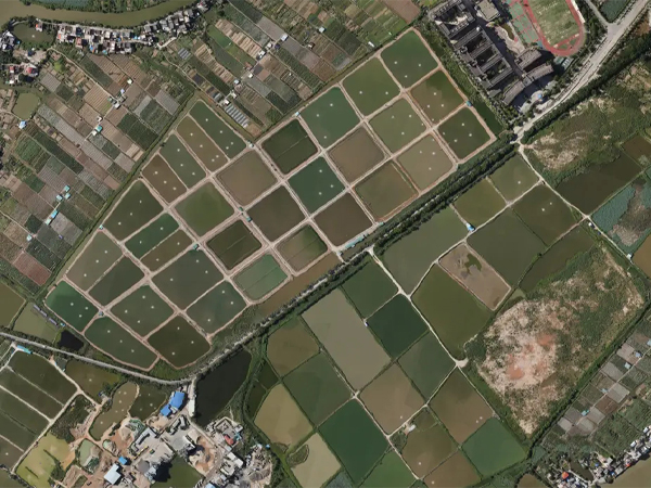 三池两坝，养殖尾水，可再生滤坝