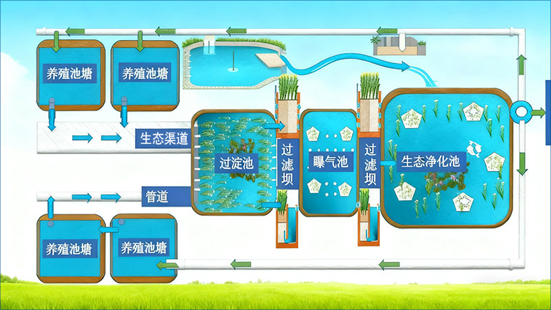 传统三池两坝工艺
