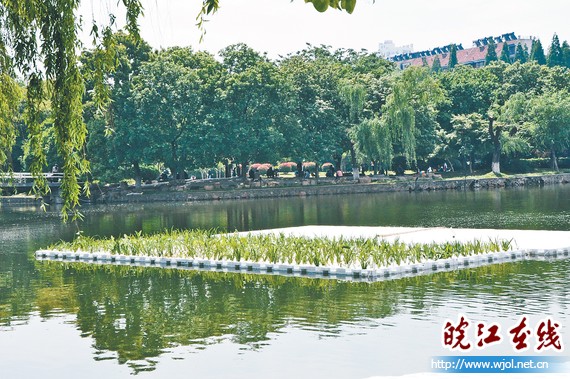 马鞍山：欧保生态浮岛落户北湖公园 具有净化水质等功能