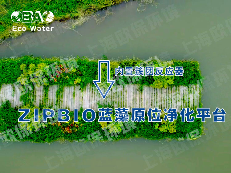 ZIPBIO欧保蓝藻应急治理平台