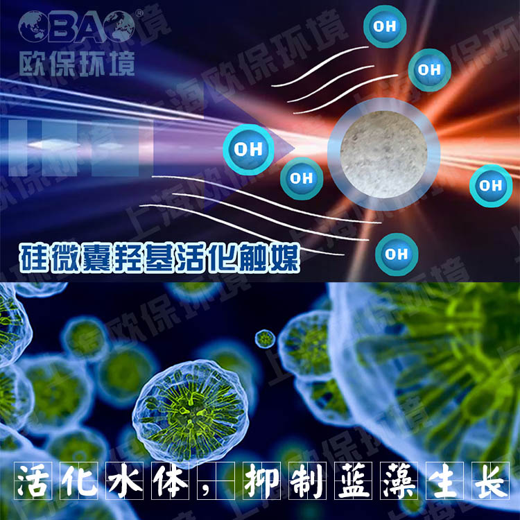硅微囊活化触媒