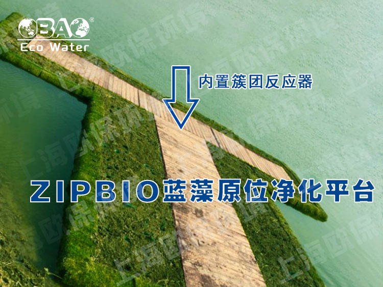 ZIPBIO欧保蓝藻应急治理平台