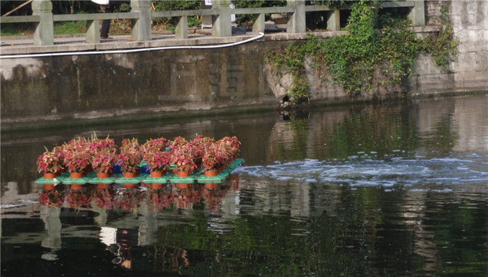 强力造流曝气机