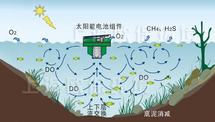 太阳能扬水曝气机